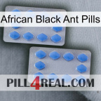 African Black Ant Pills 20
